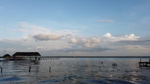 TLPS0238.JPG