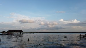 TLPS0239.JPG