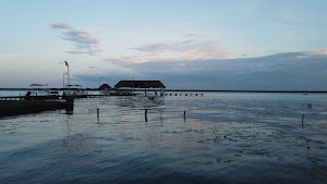 TLPS0240.JPG