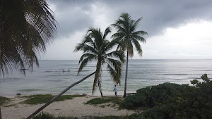 TLPS0240.JPG
