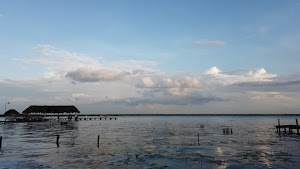 TLPS0241.JPG