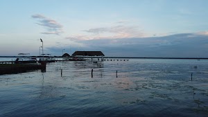 TLPS0242.JPG