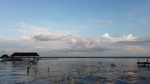 TLPS0243.JPG