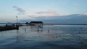 TLPS0245.JPG