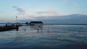 TLPS0246.JPG