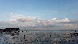 TLPS0248.JPG
