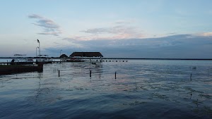TLPS0251.JPG