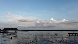 TLPS0259.JPG