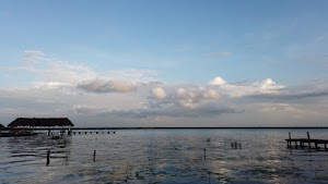 TLPS0261.JPG