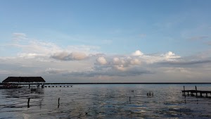 TLPS0266.JPG