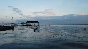 TLPS0270.JPG