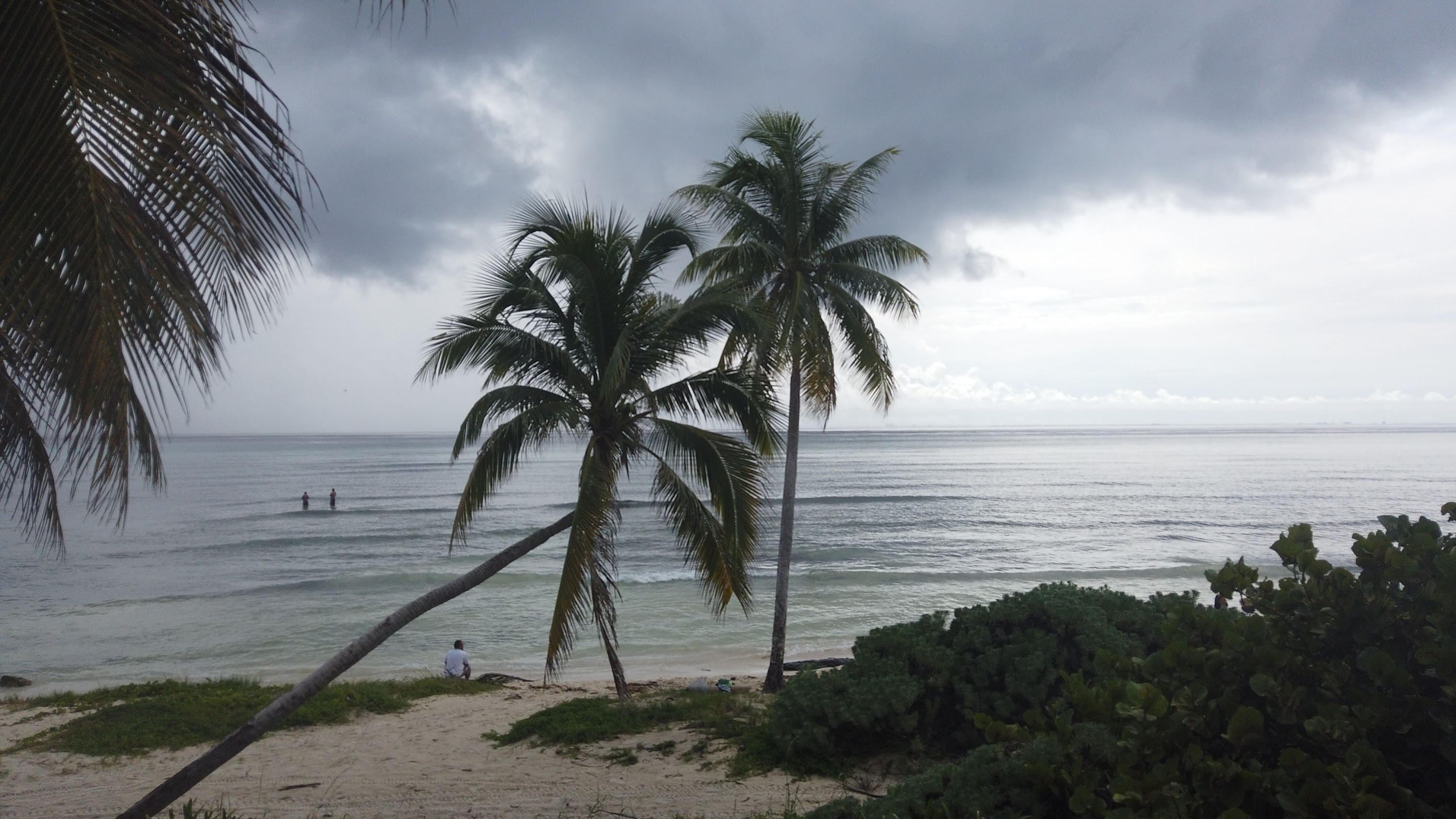 TLPS0272.JPG