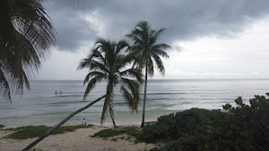 TLPS0273.JPG