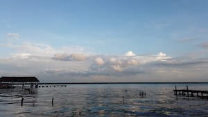 TLPS0278.JPG