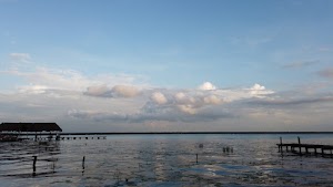 TLPS0279.JPG
