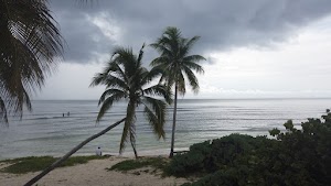 TLPS0280.JPG
