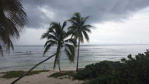 TLPS0281.JPG
