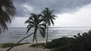 TLPS0283.JPG