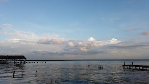 TLPS0283.JPG