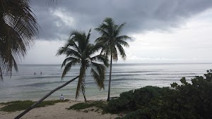 TLPS0284.JPG