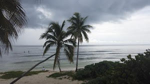 TLPS0285.JPG