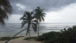 TLPS0290.JPG