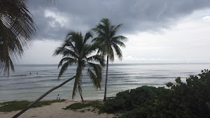 TLPS0291.JPG