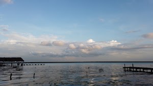 TLPS0292.JPG