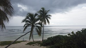 TLPS0293.JPG
