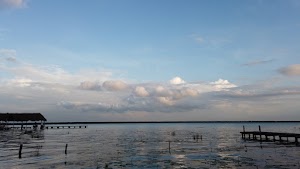 TLPS0293.JPG
