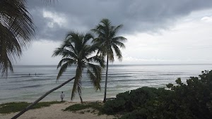 TLPS0294.JPG
