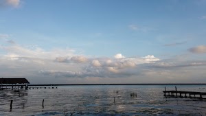 TLPS0298.JPG