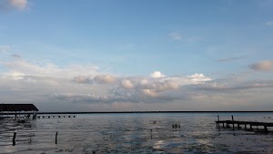 TLPS0299.JPG