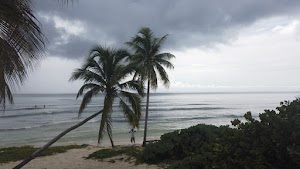 TLPS0301.JPG