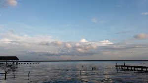 TLPS0304.JPG