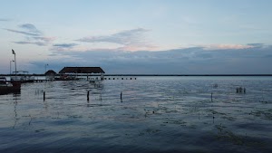 TLPS0307.JPG
