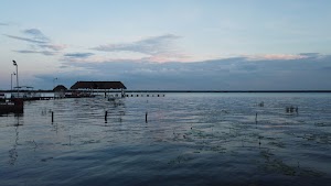 TLPS0309.JPG