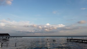 TLPS0310.JPG