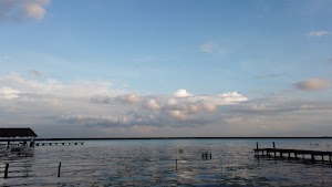 TLPS0311.JPG