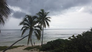 TLPS0316.JPG