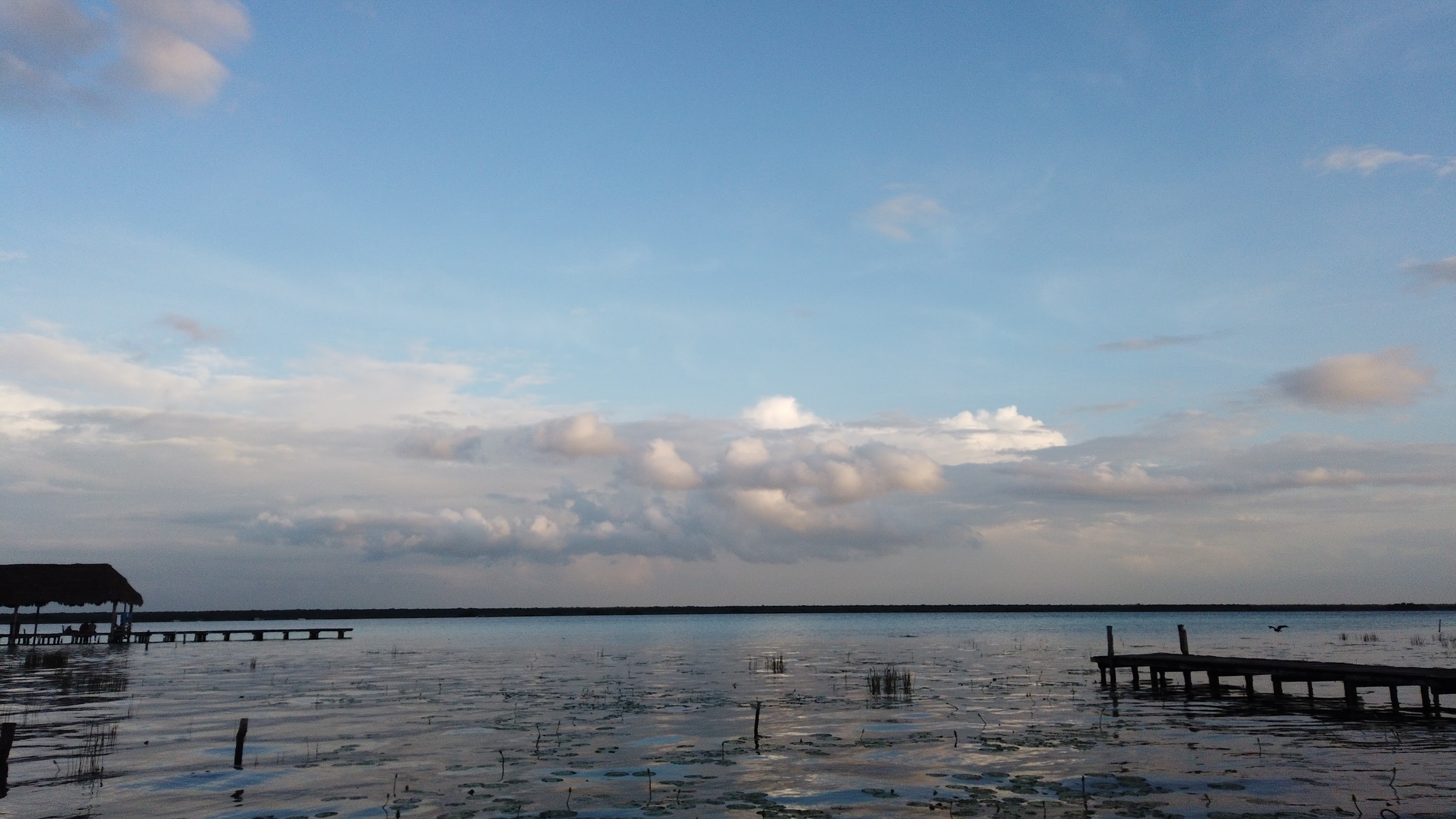 TLPS0317.JPG