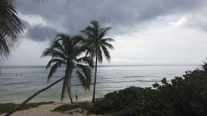 TLPS0318.JPG