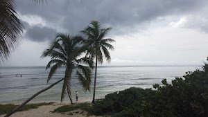 TLPS0319.JPG