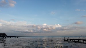 TLPS0323.JPG