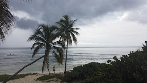 TLPS0323.JPG