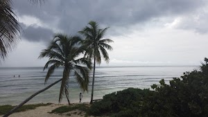 TLPS0324.JPG