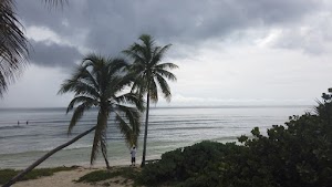 TLPS0329.JPG
