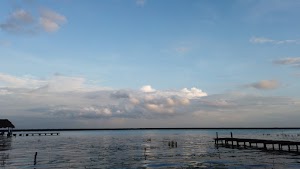 TLPS0336.JPG