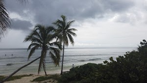 TLPS0336.JPG