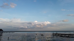TLPS0338.JPG